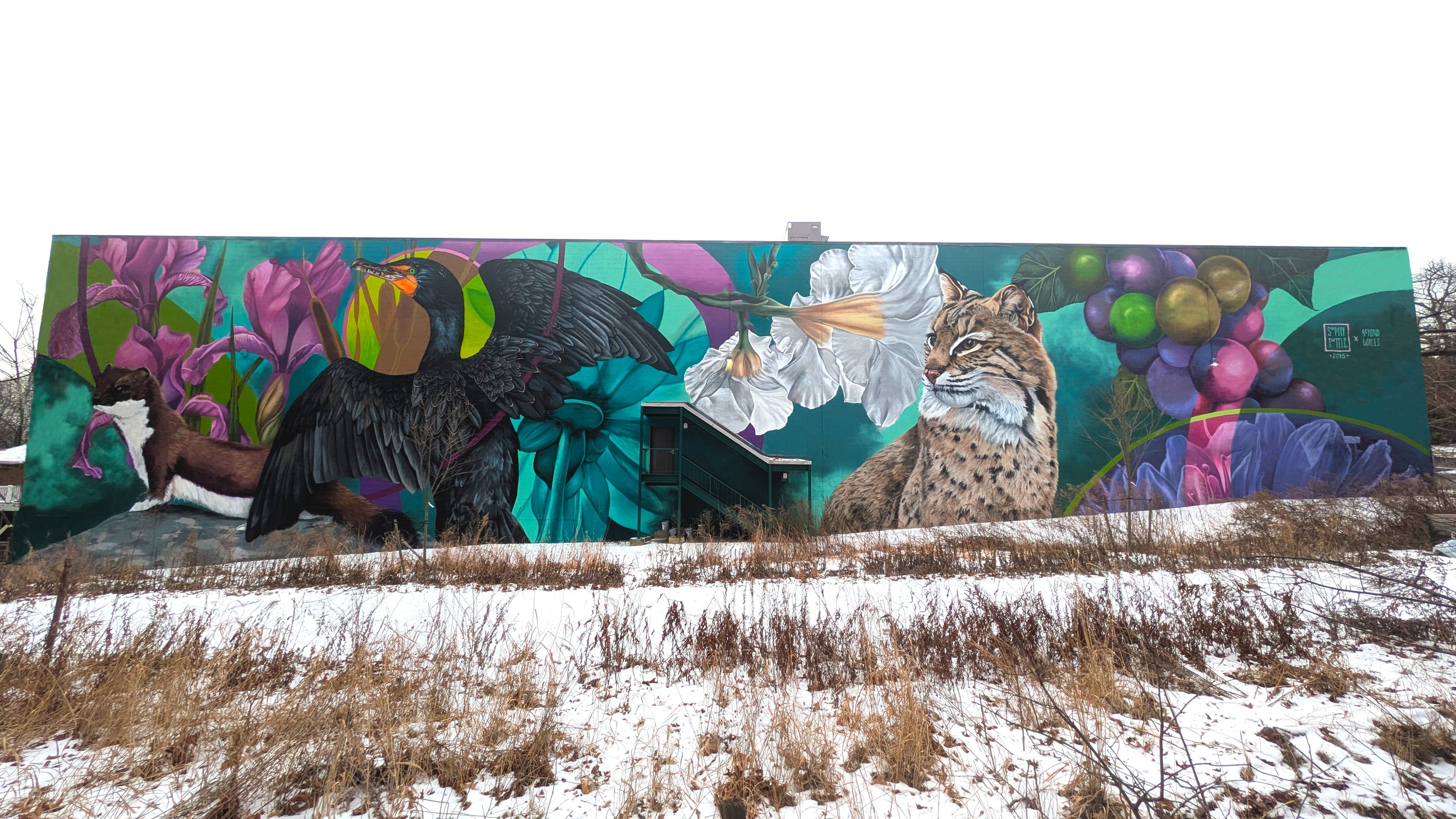 Murals by Sophy Tuttle — Sophy Tuttle Studios